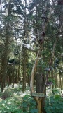 DSC06061_12